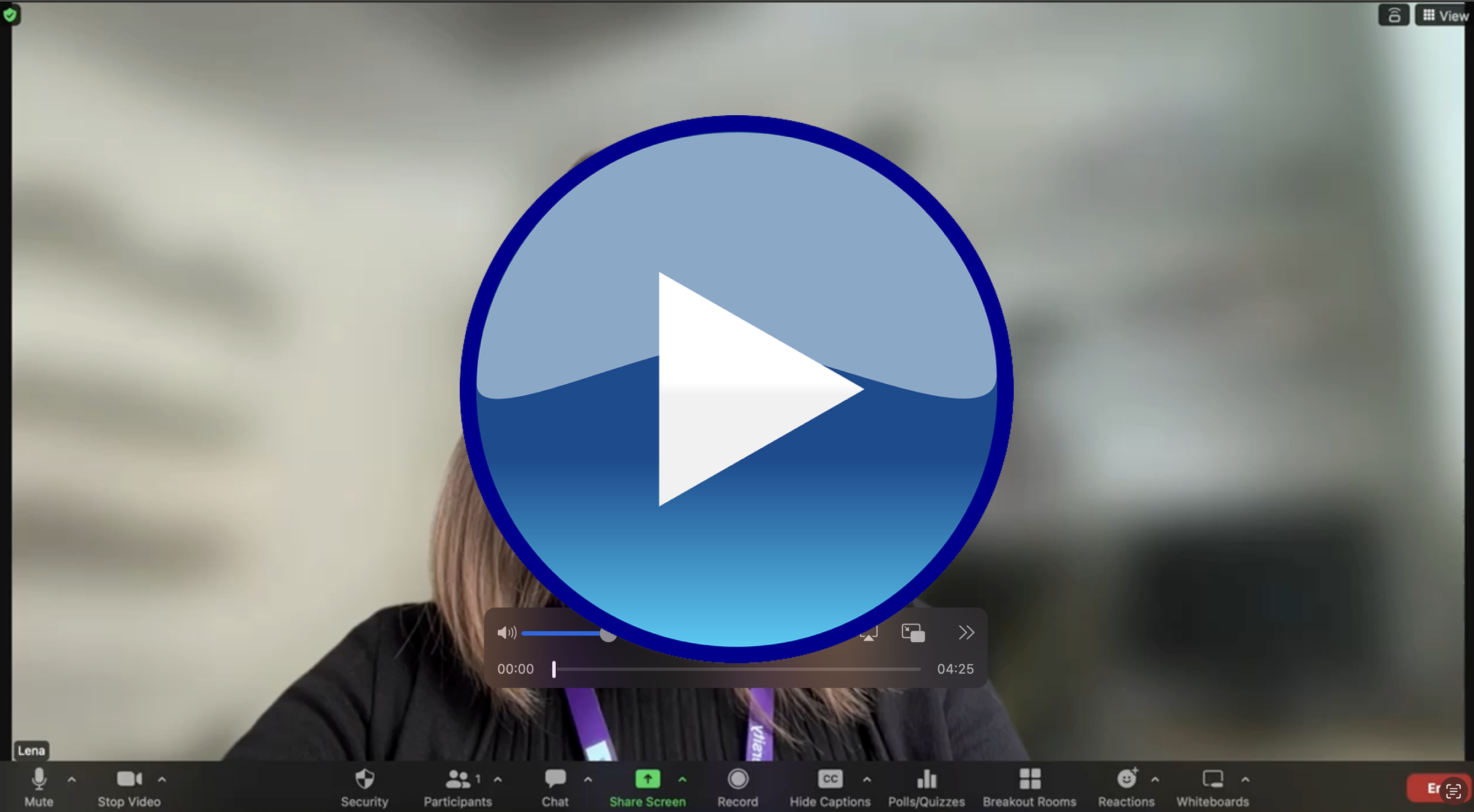 Go to: https://www.dropbox.com/scl/fi/w93ts83x7u81s85e1enpv/Zoom_functions_EN_mini.mp4?rlkey=h4j3de763bd9h40u9pvgmte6d&raw=1